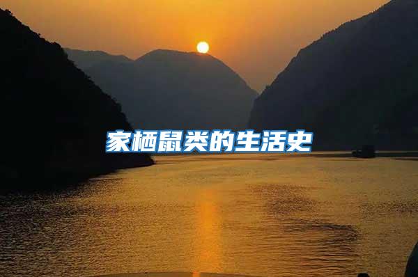 家棲鼠類的生活史