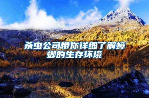 殺蟲公司帶你詳細了解蟑螂的生存環境