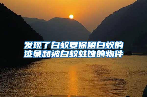 發現了白蟻要保留白蟻的跡象和被白蟻蛀蝕的物件