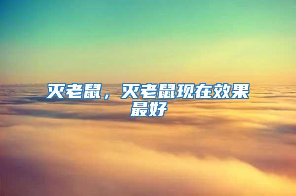 滅老鼠，滅老鼠現在效果最好