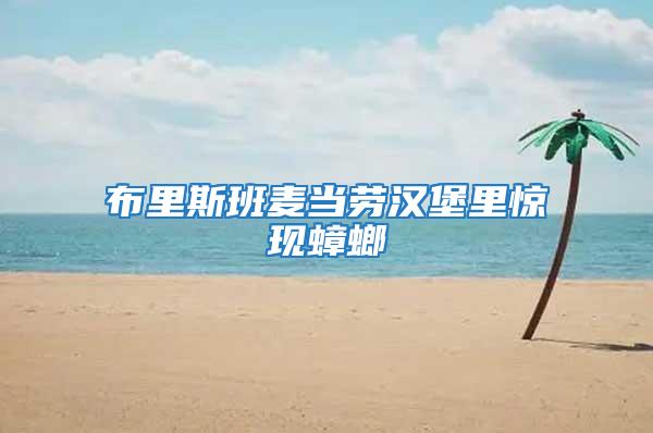 布里斯班麥當勞漢堡里驚現蟑螂