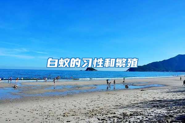 白蟻的習(xí)性和繁殖