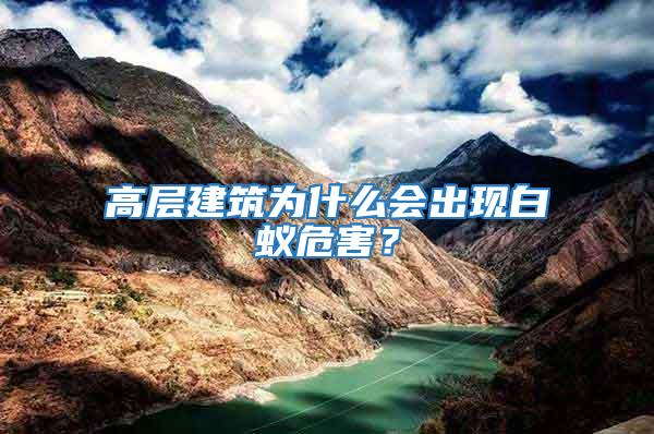 高層建筑為什么會出現白蟻危害？