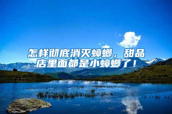 怎樣徹底消滅蟑螂，甜品店里面都是小蟑螂了！