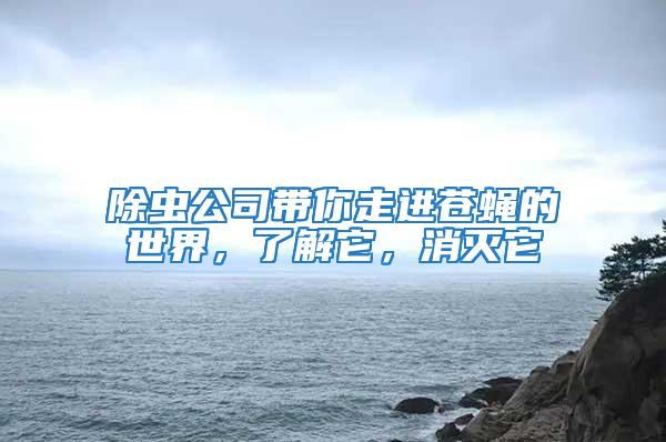除蟲公司帶你走進(jìn)蒼蠅的世界，了解它，消滅它