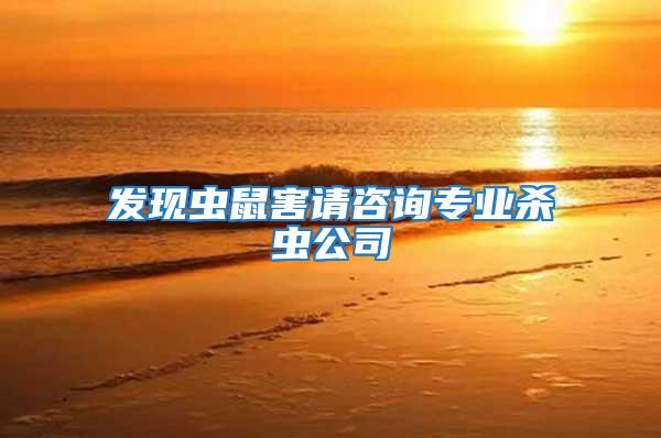 發現蟲鼠害請咨詢專業殺蟲公司