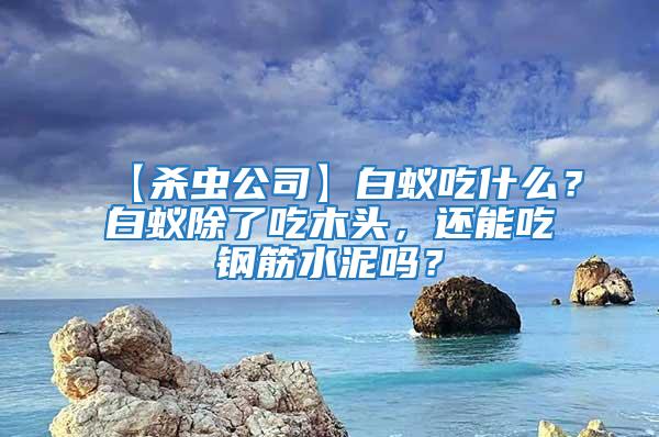 【殺蟲公司】白蟻吃什么？白蟻除了吃木頭，還能吃鋼筋水泥嗎？
