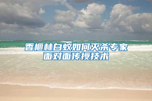 香榧林白蟻如何滅殺專家面對面?zhèn)魇诩夹g(shù)