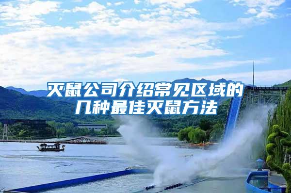 滅鼠公司介紹常見區域的幾種最佳滅鼠方法