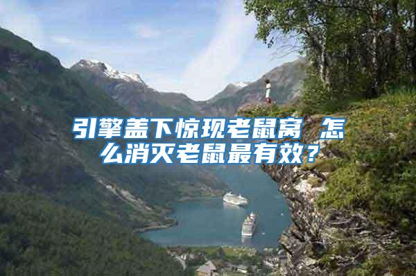 引擎蓋下驚現老鼠窩 怎么消滅老鼠最有效？