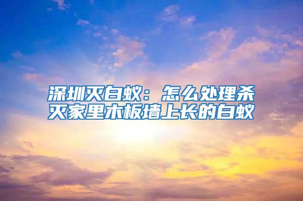 深圳滅白蟻：怎么處理殺滅家里木板墻上長的白蟻