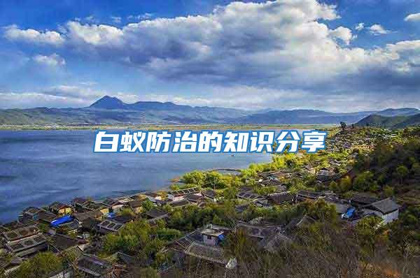 白蟻防治的知識分享