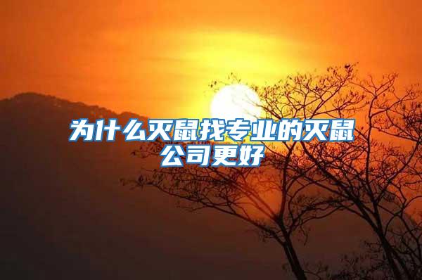 為什么滅鼠找專業的滅鼠公司更好