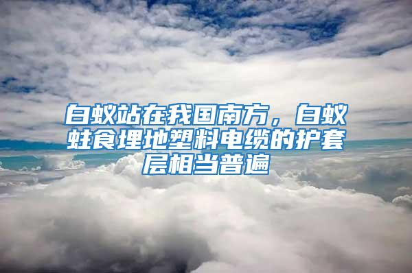 白蟻站在我國南方，白蟻蛀食埋地塑料電纜的護套層相當(dāng)普遍
