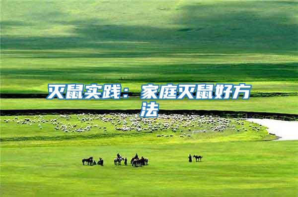 滅鼠實(shí)踐：家庭滅鼠好方法