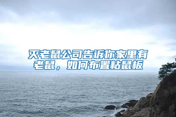 滅老鼠公司告訴你家里有老鼠，如何布置粘鼠板