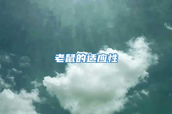 老鼠的適應性