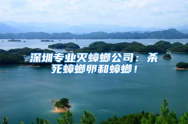 深圳專業(yè)滅蟑螂公司：殺死蟑螂卵和蟑螂！