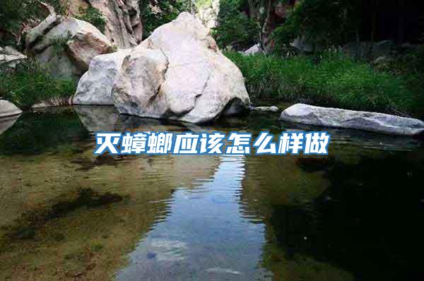 滅蟑螂應該怎么樣做