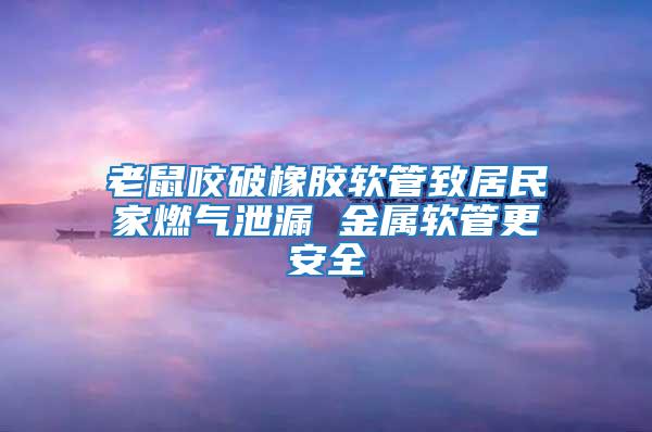 老鼠咬破橡膠軟管致居民家燃?xì)庑孤?金屬軟管更安全