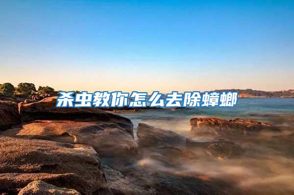 殺蟲教你怎么去除蟑螂
