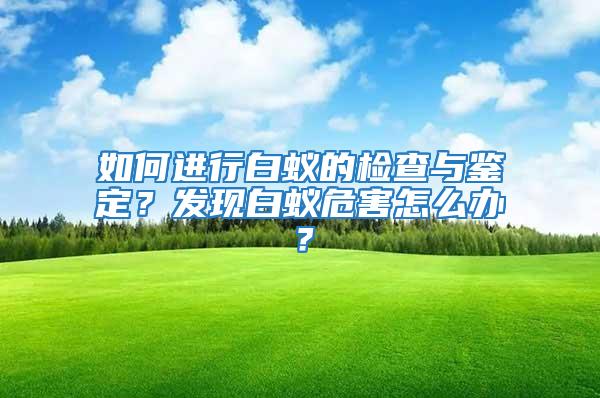 如何進行白蟻的檢查與鑒定？發(fā)現(xiàn)白蟻危害怎么辦？