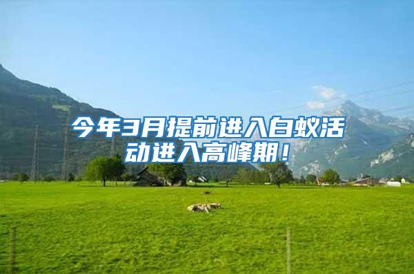 今年3月提前進入白蟻活動進入高峰期！