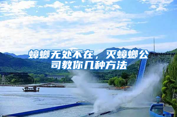 蟑螂無處不在，滅蟑螂公司教你幾種方法