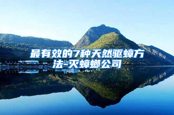 最有效的7種天然驅蟑方法-滅蟑螂公司