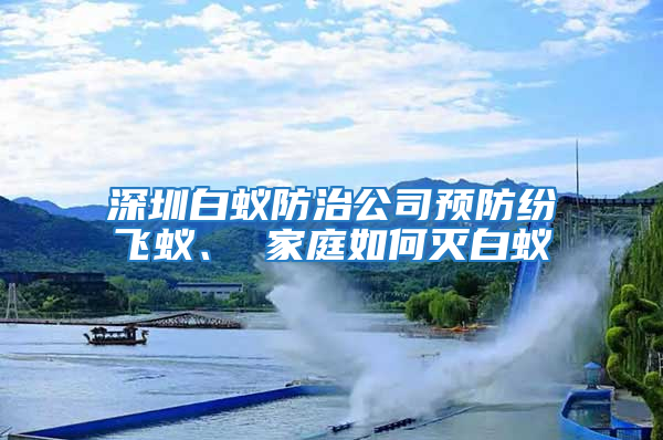 深圳白蟻防治公司預防紛飛蟻、 家庭如何滅白蟻