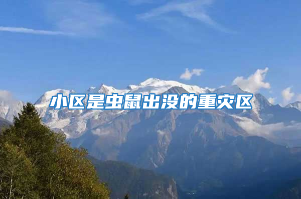 小區是蟲鼠出沒的重災區