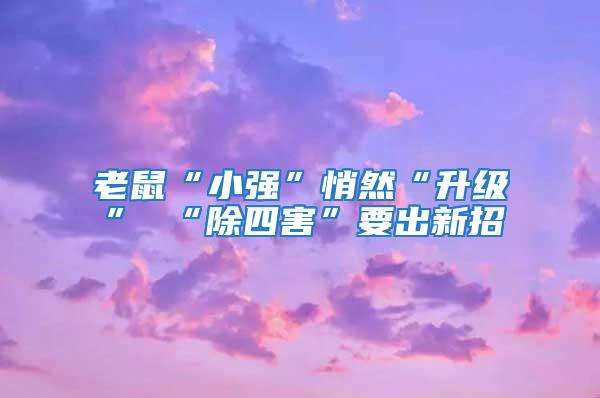 老鼠“小強”悄然“升級” “除四害”要出新招