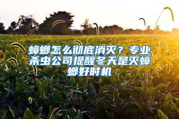 蟑螂怎么徹底消滅？專業(yè)殺蟲公司提醒冬天是滅蟑螂好時機
