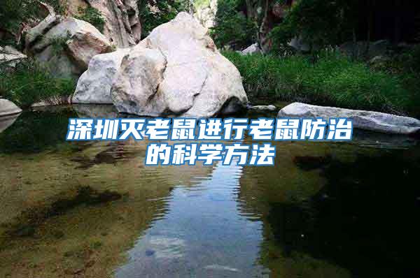 深圳滅老鼠進行老鼠防治的科學方法