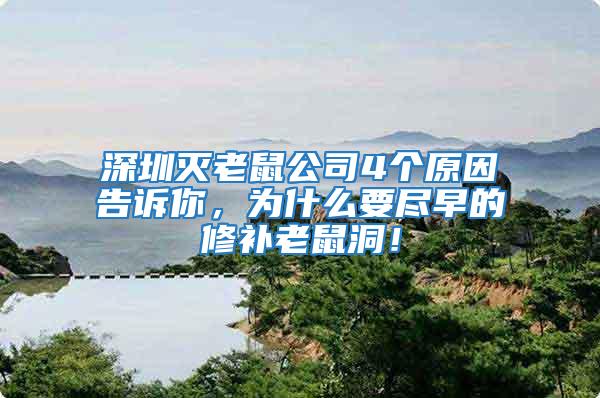 深圳滅老鼠公司4個(gè)原因告訴你，為什么要盡早的修補(bǔ)老鼠洞！