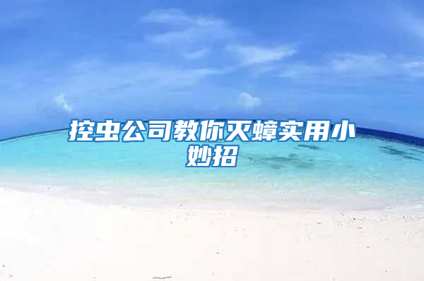 控蟲公司教你滅蟑實用小妙招