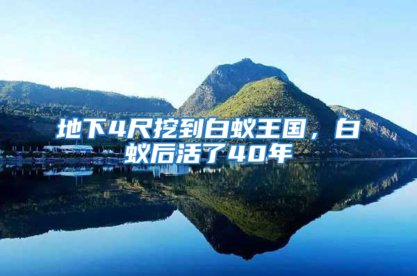 地下4尺挖到白蟻王國，白蟻后活了40年