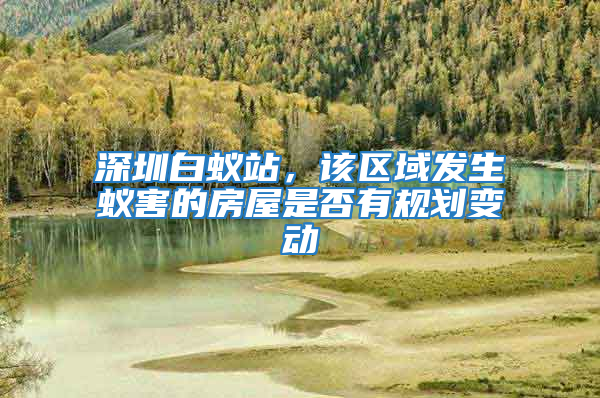 深圳白蟻站，該區(qū)域發(fā)生蟻害的房屋是否有規(guī)劃變動