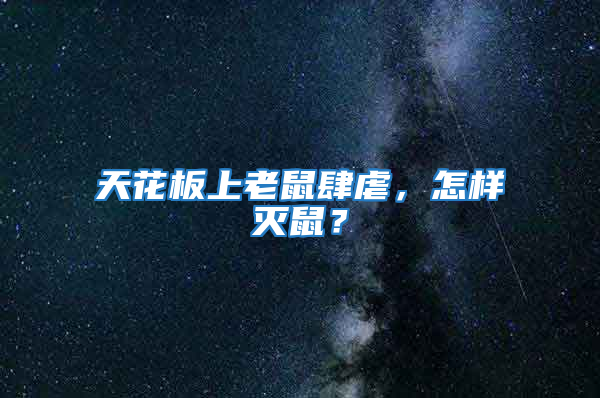 天花板上老鼠肆虐，怎樣滅鼠？