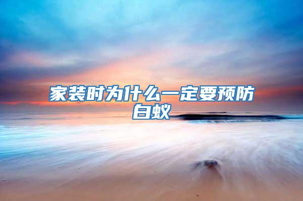 家裝時為什么一定要預防白蟻