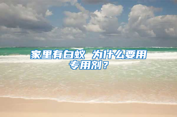 家里有白蟻 為什么要用專用劑？