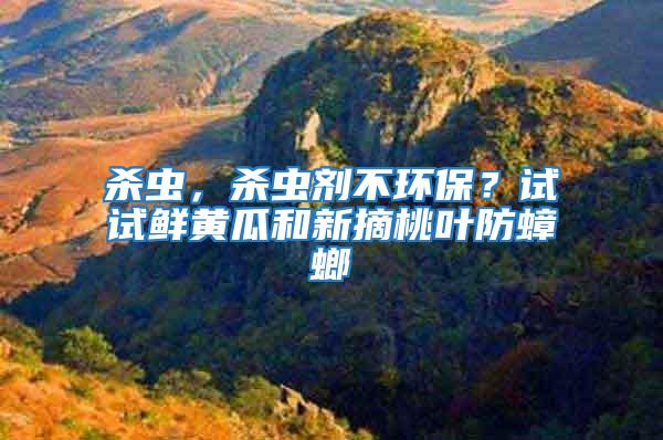 殺蟲，殺蟲劑不環保？試試鮮黃瓜和新摘桃葉防蟑螂