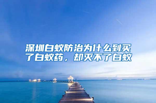 深圳白蟻防治為什么到買了白蟻藥，卻滅不了白蟻
