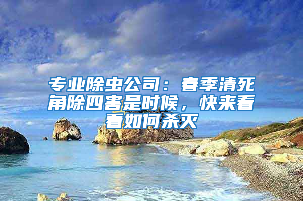 專業除蟲公司：春季清死角除四害是時候，快來看看如何殺滅