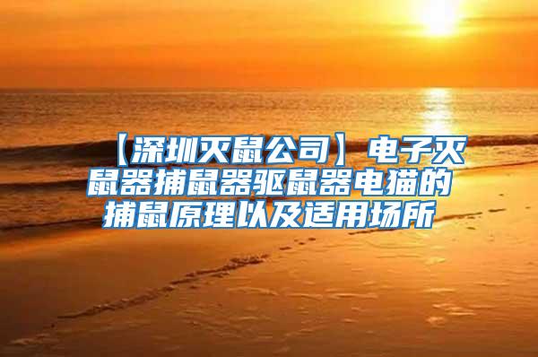 【深圳滅鼠公司】電子滅鼠器捕鼠器驅鼠器電貓的捕鼠原理以及適用場所