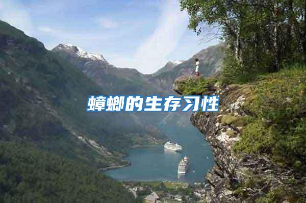 蟑螂的生存習性
