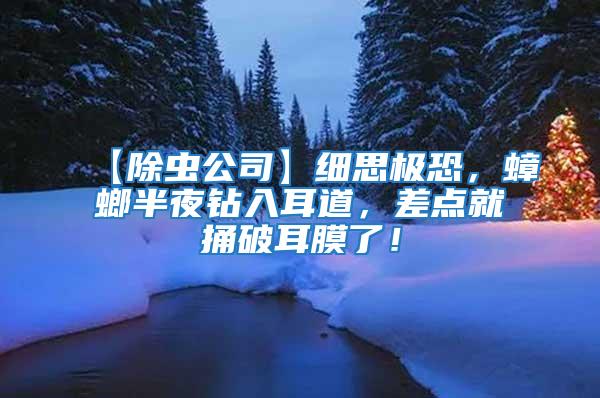 【除蟲公司】細思極恐，蟑螂半夜鉆入耳道，差點就捅破耳膜了！