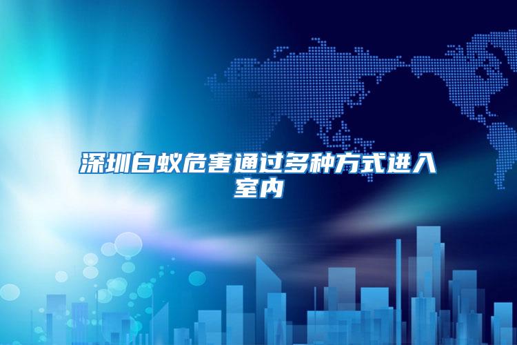 深圳白蟻危害通過多種方式進入室內