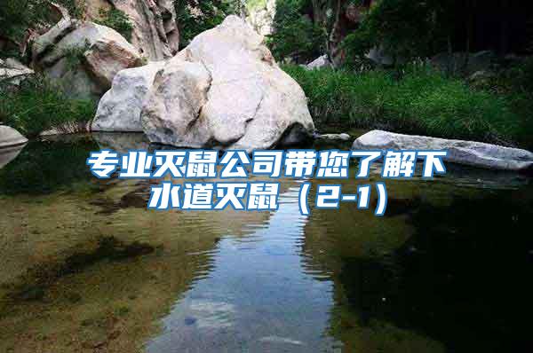 專(zhuān)業(yè)滅鼠公司帶您了解下水道滅鼠（2-1）