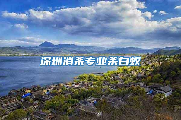 深圳消殺專業殺白蟻